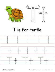 Letter Tracing T