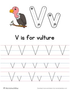 Letter Tracing V